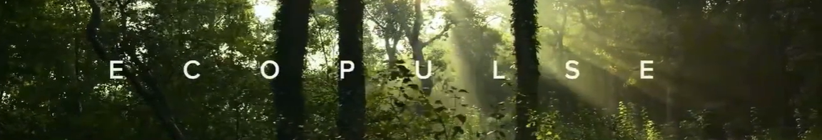 EcoPulse Alliance